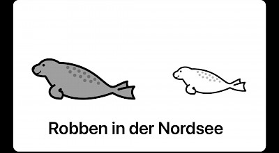 Mehr Robben in der Nordsee